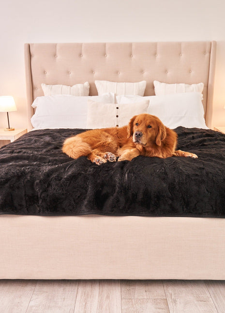 PupProtector™ Summer Short Fur Waterproof Throw Blanket - Midnight Black