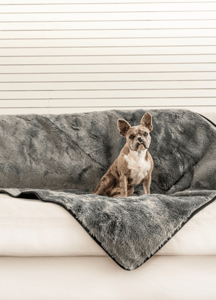 PupProtector™ Short Fur Waterproof Throw Blanket - Charcoal Grey