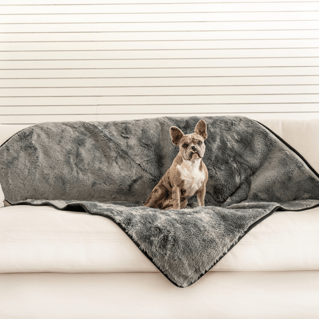 PupProtector™ Summer Short Fur Waterproof Throw Blanket - Charcoal Grey