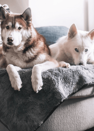 PupProtector™ Short Fur Waterproof Throw Blanket - Charcoal Grey