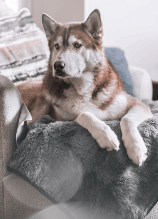 PupProtector™ Short Fur Waterproof Throw Blanket - Charcoal Grey