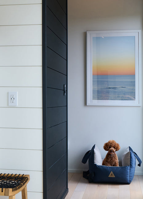 Nooee Pet Car Seat Charlie