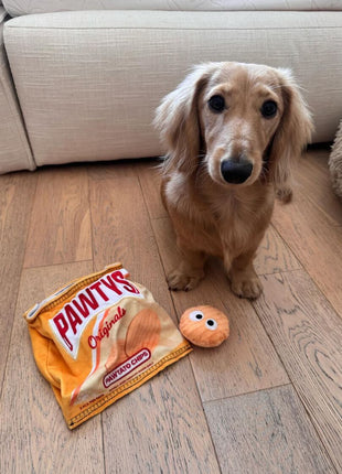 PAWTATO CHIPS INTERACTIVE DOG TOY