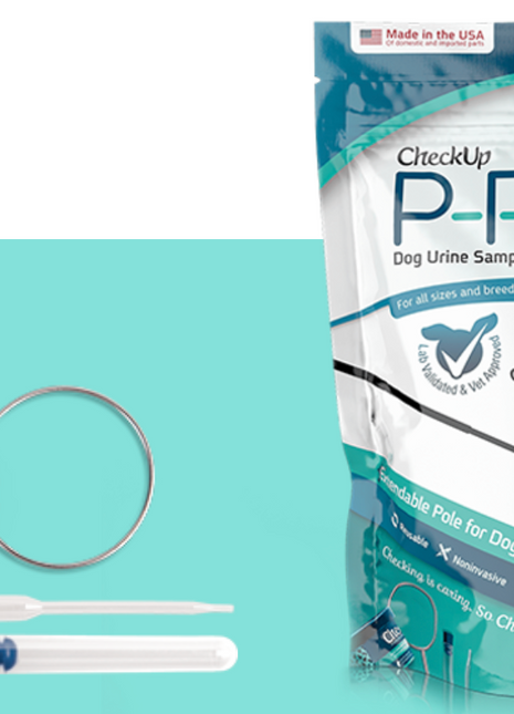 Urine Collection Kit for Dogs: At-Home Testing