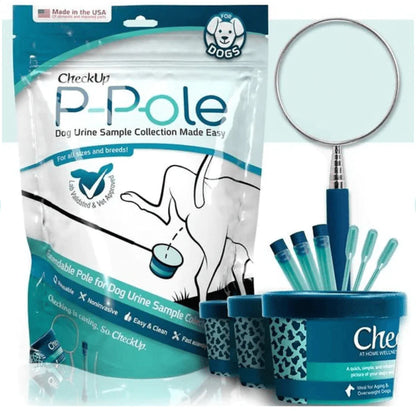 Urinary Tract Infection BioScreen & Culture for Dogs: At-Home Testing