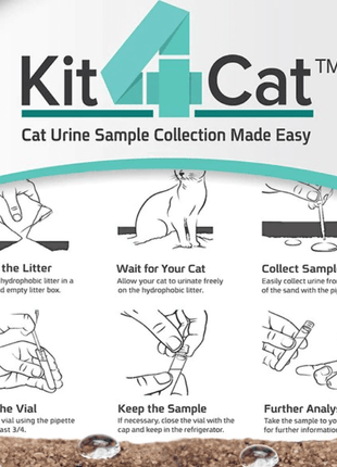 Urinary Tract Infection BioScreen & Culture for Cats: At-Home Testing