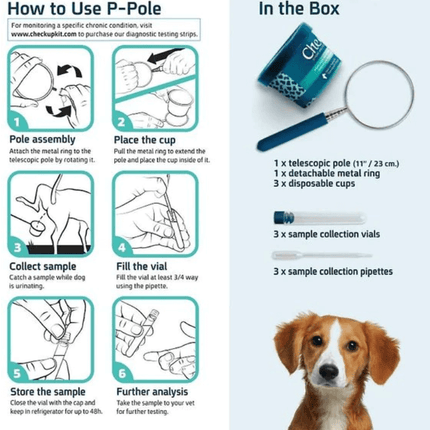 Urinary Tract Infection BioScreen & Culture for Dogs: At-Home Testing