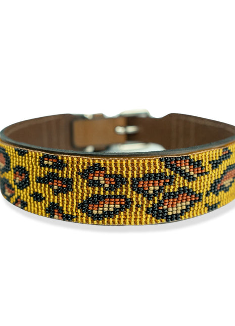 Cheetah Sambboho dog collar (animal print collection)