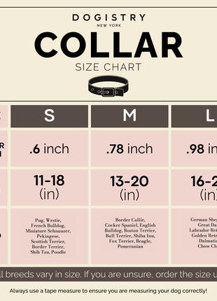 City Collar - Steel