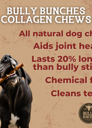 10-12 Inch Collagen Stick