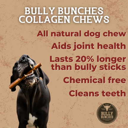 5-6 Inch Champion Chew