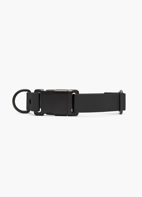 Signature Collar