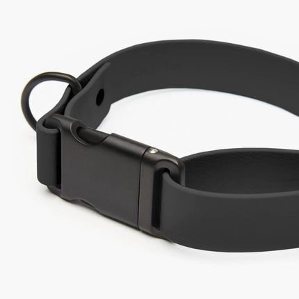 Signature Collar