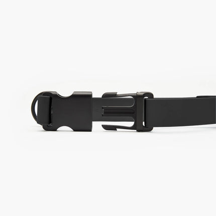 Signature Collar