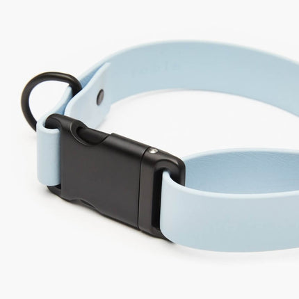 Signature Collar