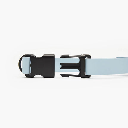 Signature Collar