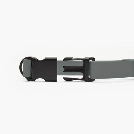 Signature Collar