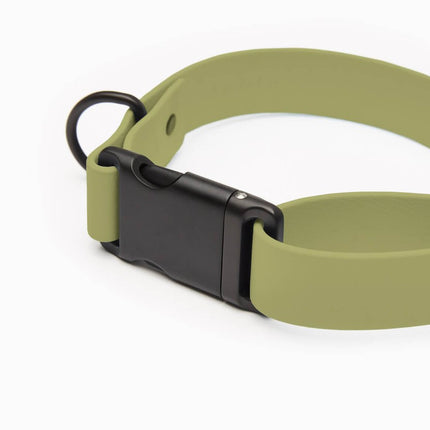 Signature Collar