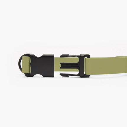 Signature Collar