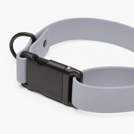 Signature Collar