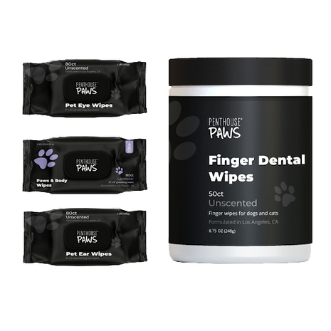 Complete 4-in-1 Pet Grooming Wipes Kit