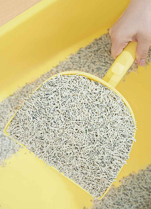 Cat Litter Changing Scoop