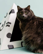'Doodle' Cardboard Cat Pyramid