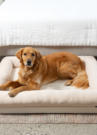 PupChill™ Cooling 4-Bolster Dog Bed - Arctic Sand