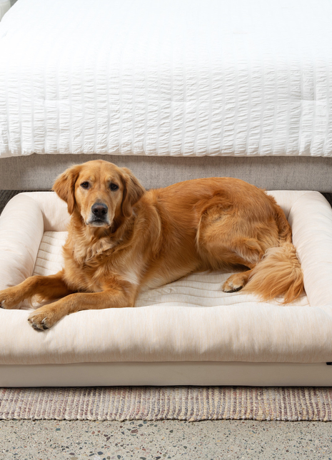 PupChill™ Cooling 4-Bolster Dog Bed - Arctic Sand