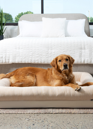 PupChill™ Cooling 4-Bolster Dog Bed - Arctic Sand