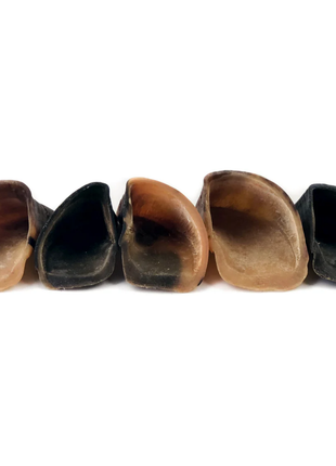 Cow Hooves