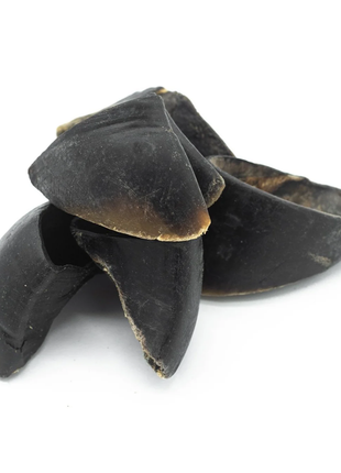Cow Hooves