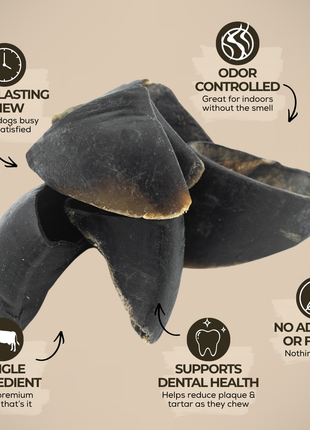Cow Hooves