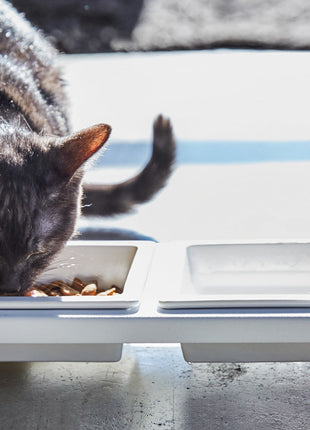 Pet Food Bowl - Steel + Ceramic
