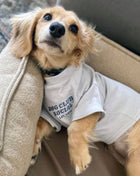 Embroidered Tee (Dog)