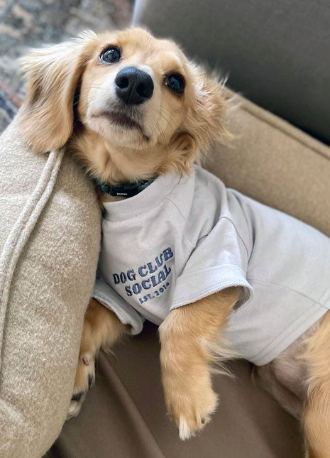 Embroidered Tee (Dog)