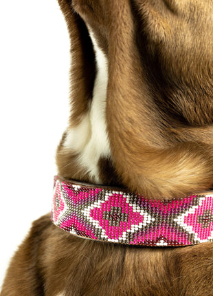 Del Mar Sambboho dog collar