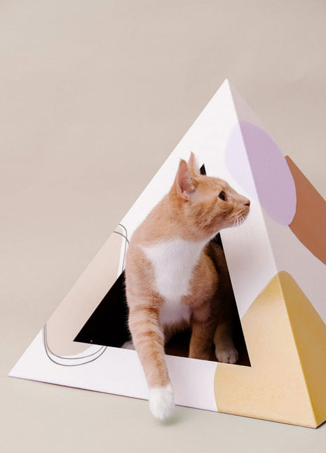 'Abstract' Cardboard Cat Pyramid