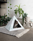 'Oasis' Cardboard Cat Pyramid
