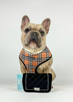 CHEWNEL PLUSH DOG TOY