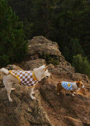 Dog Cotton Smiley Tee - Pup List