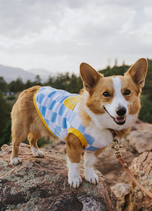 Dog Cotton Smiley Tee - Pup List