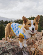 Dog Cotton Smiley Tee