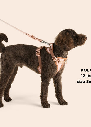 Dog Harness - Pup List