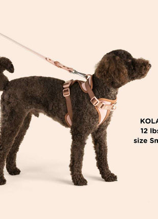 Dog Harness