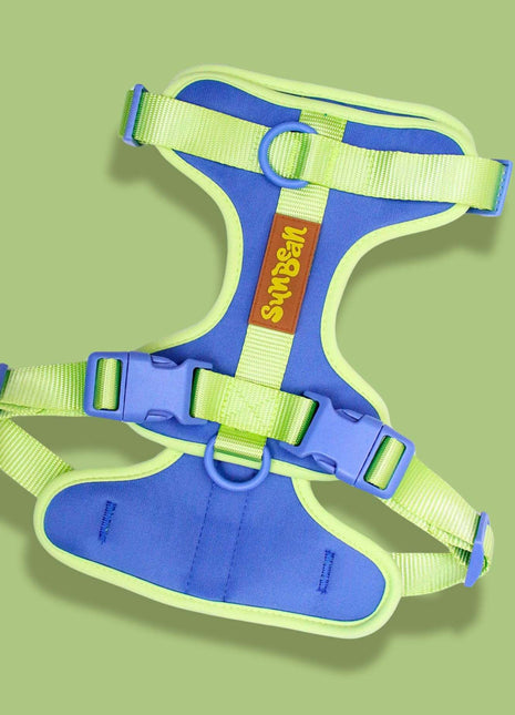 Dog Harness