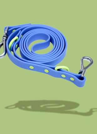 Dog Leash