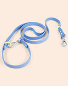 Dog Leash
