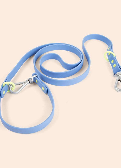 Dog Leash