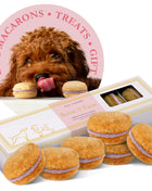 Dog Macarons (Box of 6)